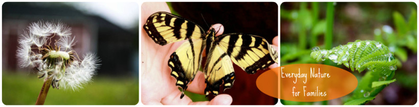 Everyday Nature for Families Collage