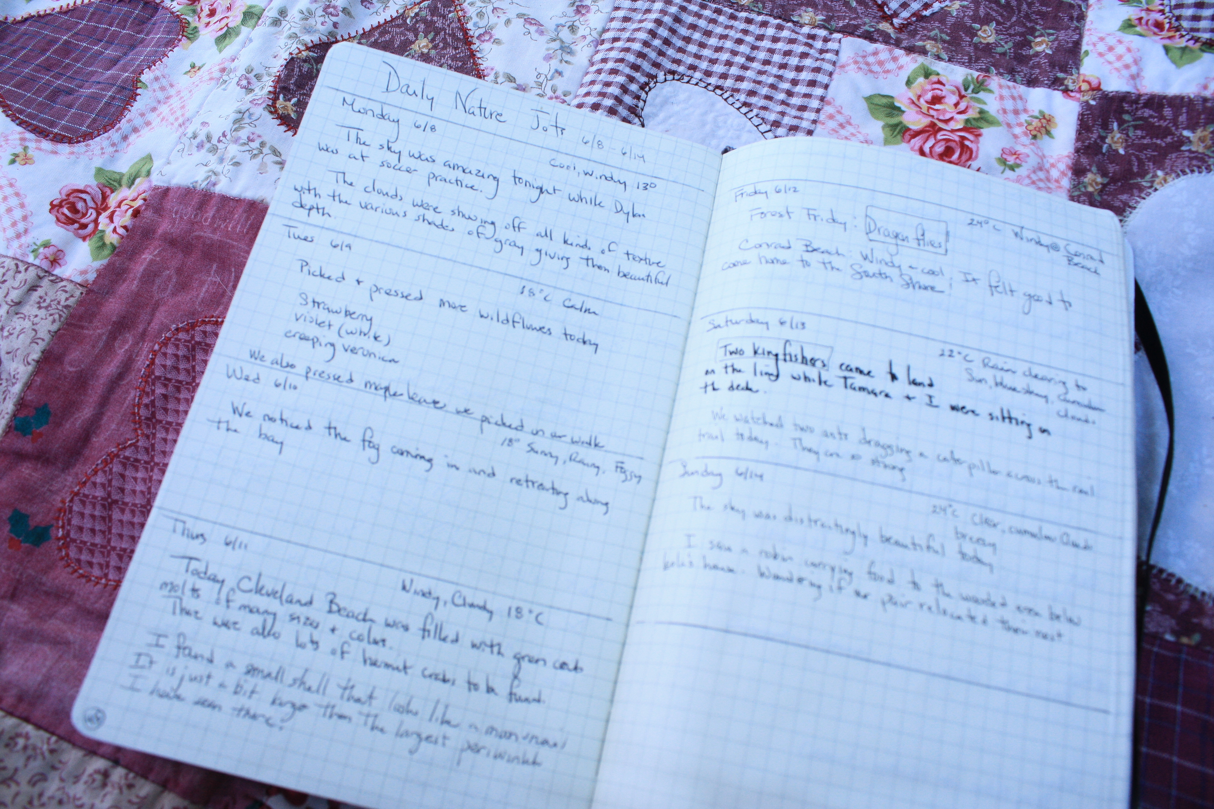 Bullet Journal 1-1