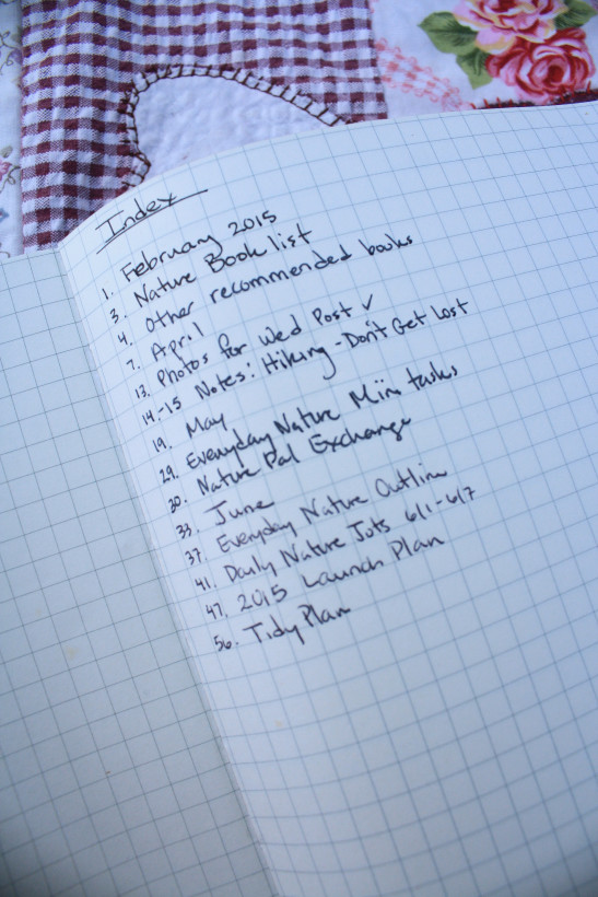 Bullet Journal Index-2-1